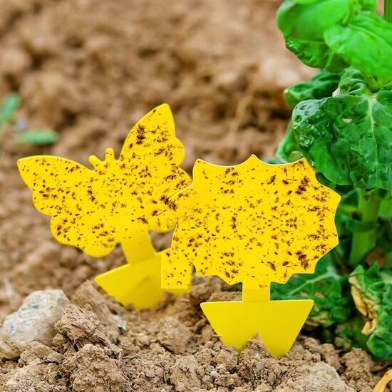 20 липких мухобойок от фруктовых мух, липкая бумага для мух